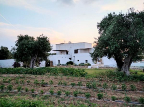 Masseria Piccole Taverne Rosa Marina